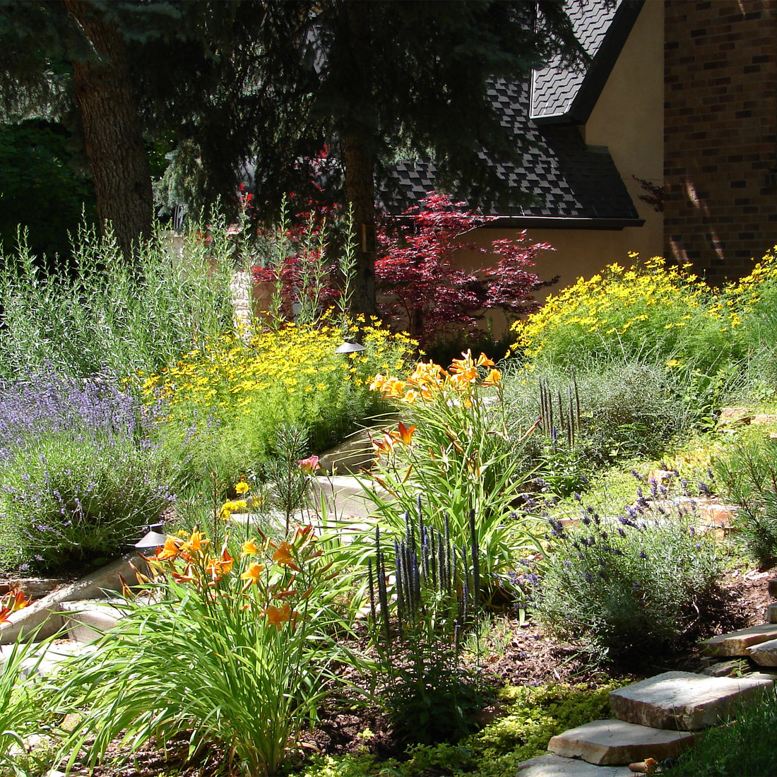 Xeriscaping Simplified: A 5 Step Guide