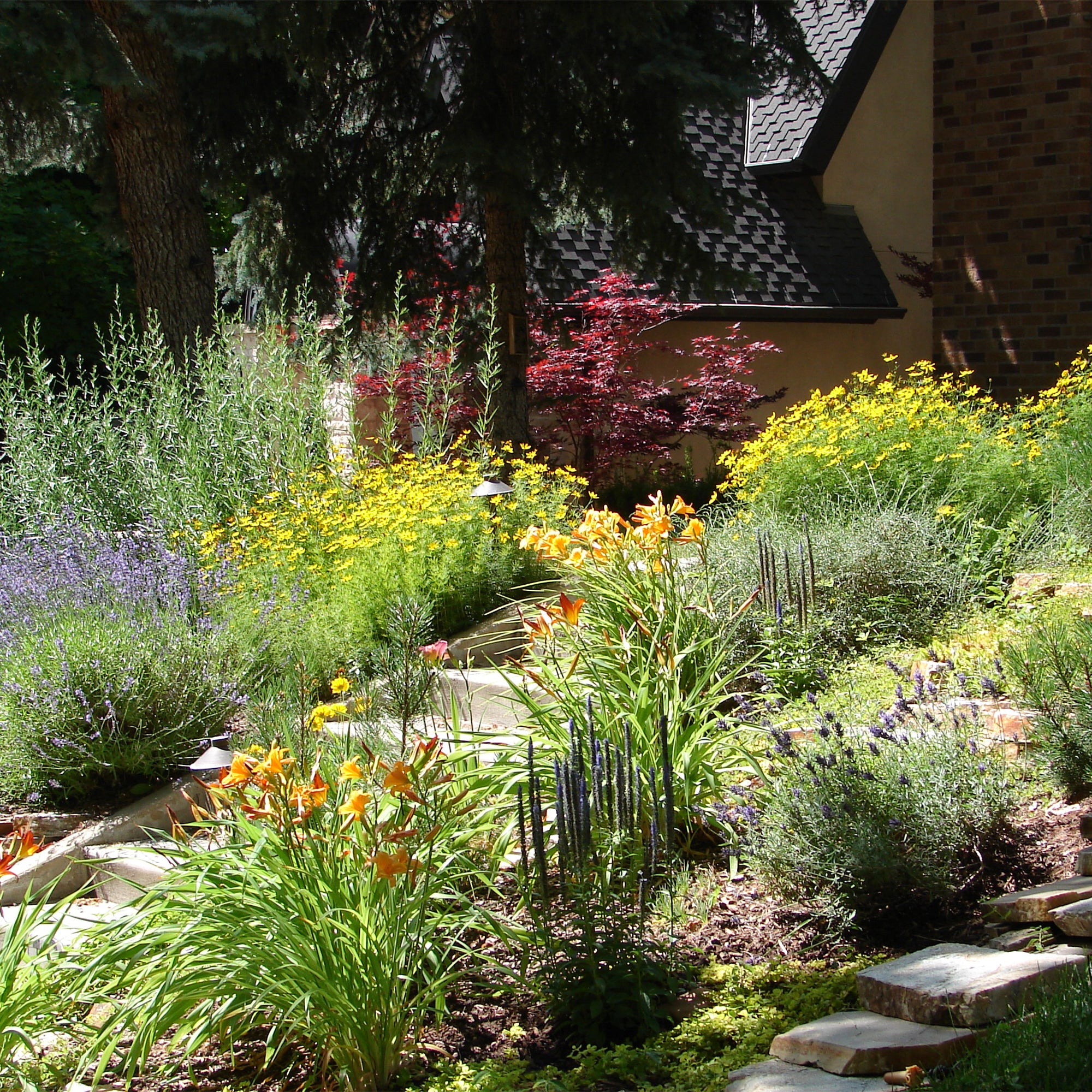 Xeriscaping Simplified: A 5 Step Guide