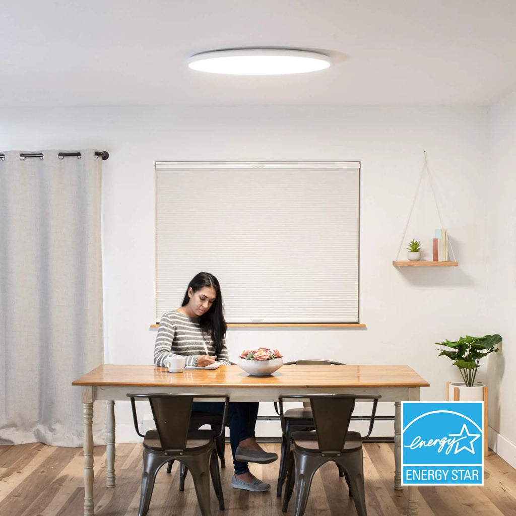 Intrusion tøjlerne svar KODA 32" Slim Oval LED Ceiling Light with Adjustable White Color