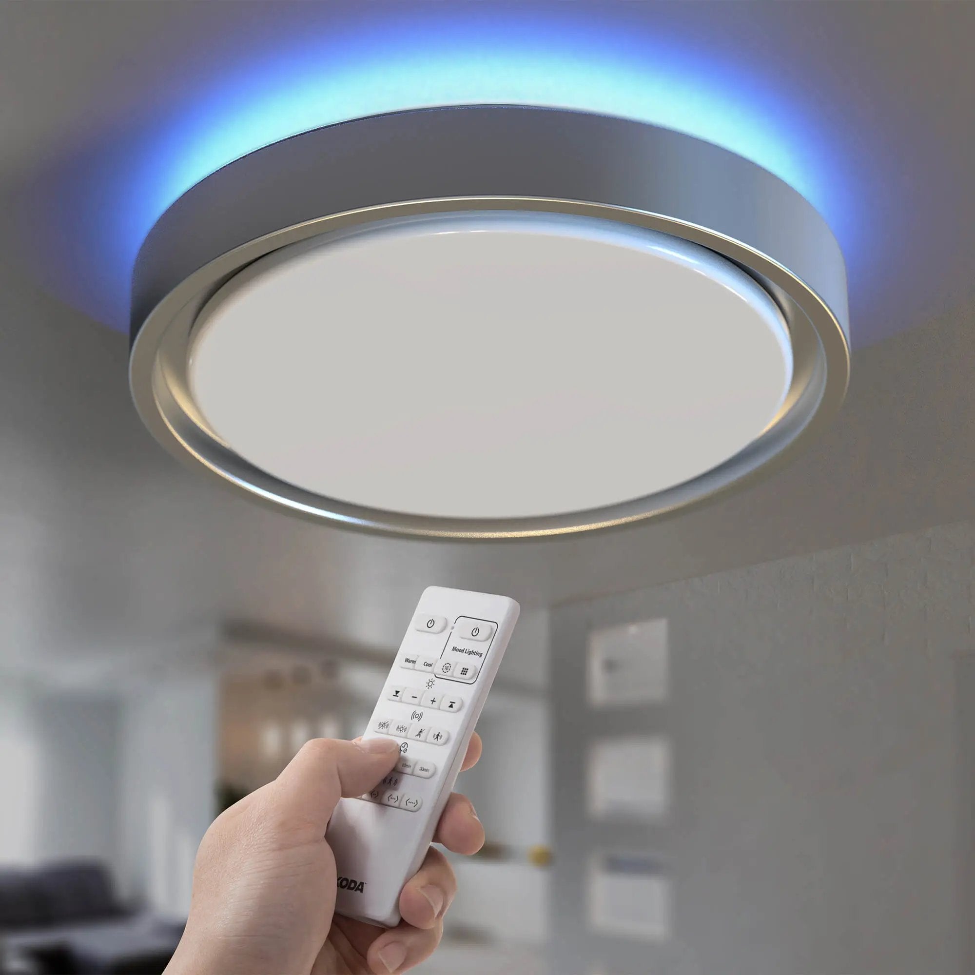 LED Motion Sensor factory Ceiling Light