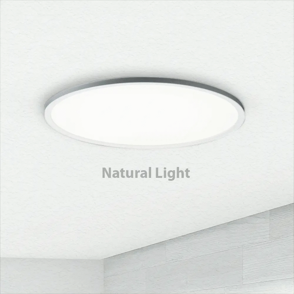 Logisk repertoire Få kontrol 15" LED Slim Ceiling Light with Two Color Options | Koda™